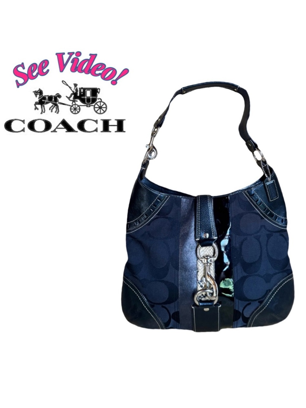 Coach Hamptons 10260 Signature Python Stripe Black Canvas Leather Hobo